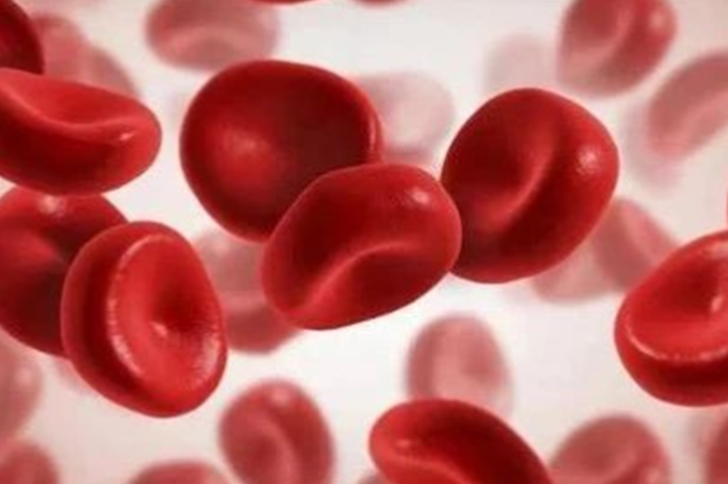 造血干细胞培养涉及相关因子总结