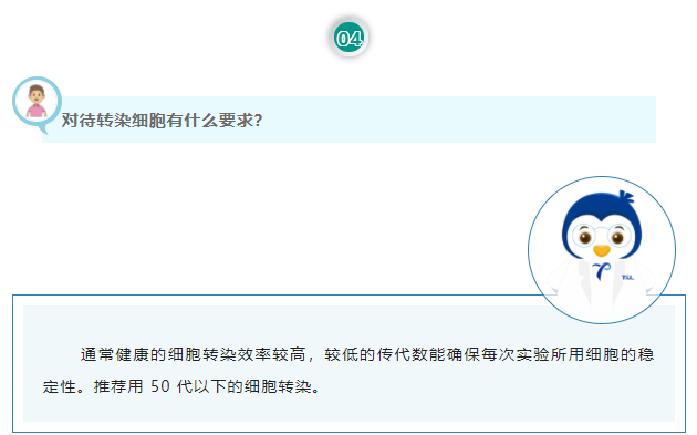 对待转染细胞有什么要求？通常健康的细胞转染效率较高，较低的传代数能确保每次实验所用细胞的稳定性。推荐用 50 代以下的细胞转染。