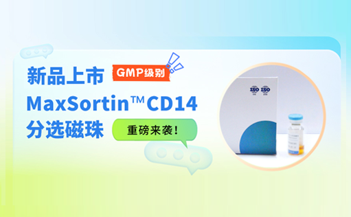 新品上市 | GMP级别MaxSortin™CD14分选磁珠重磅来袭！