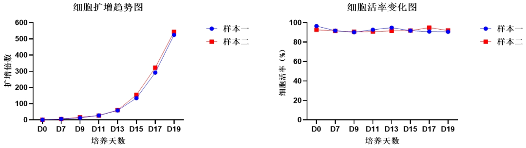 同立海源,NK试剂盒套装3.0,脐血NK细胞培养,NK细胞培养