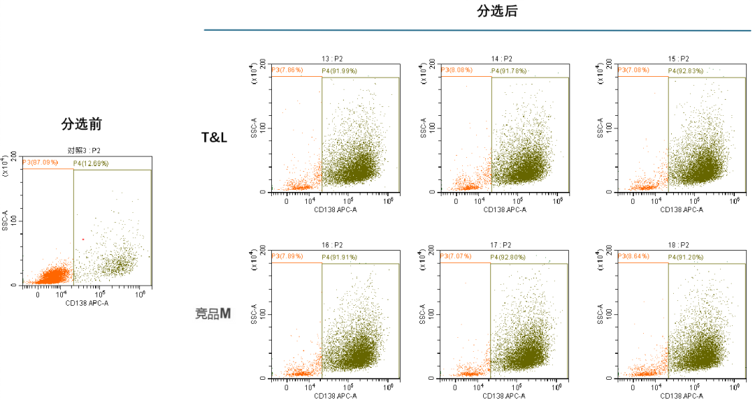 同立海源新品上市-MaxSortin™CD138分选磁珠