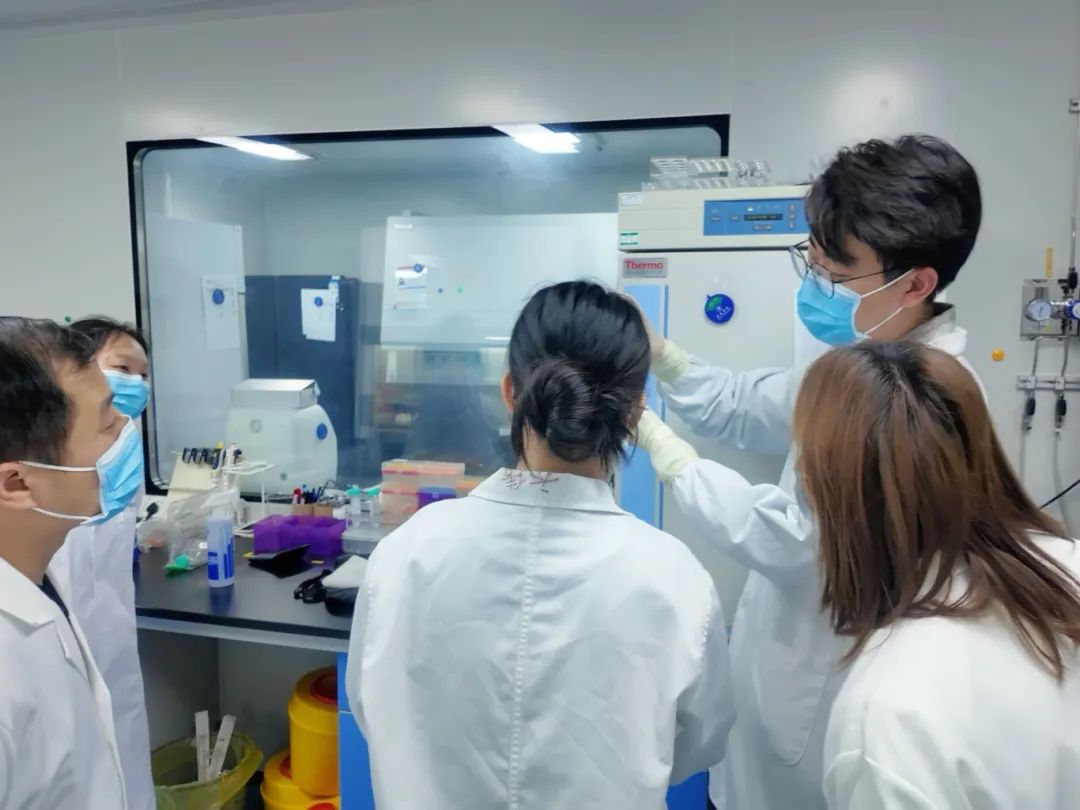 同立海源生物《珍贵血样NK细胞体外扩增解决方案》实操训练营