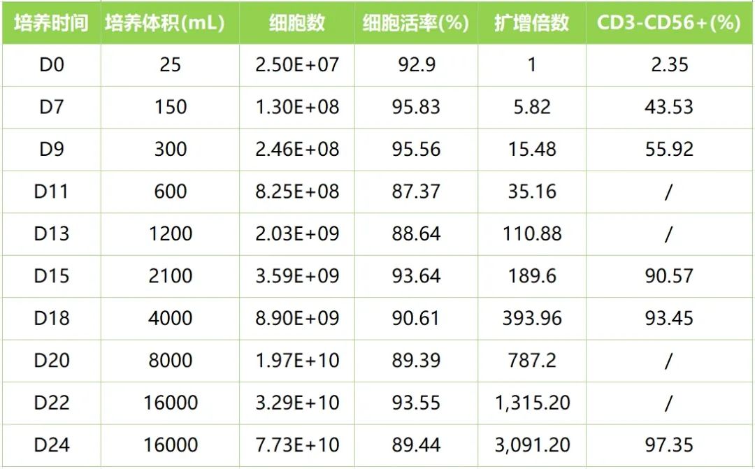 24天，16升，超700亿！NK细胞培养新纪录诞生！同立海源NK细胞培养套装3.0！