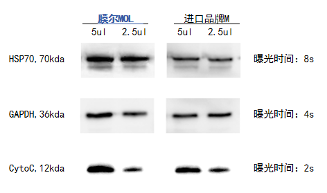 同立海源产品推荐：膜尔新材0.45μmPVDF膜—实验数据